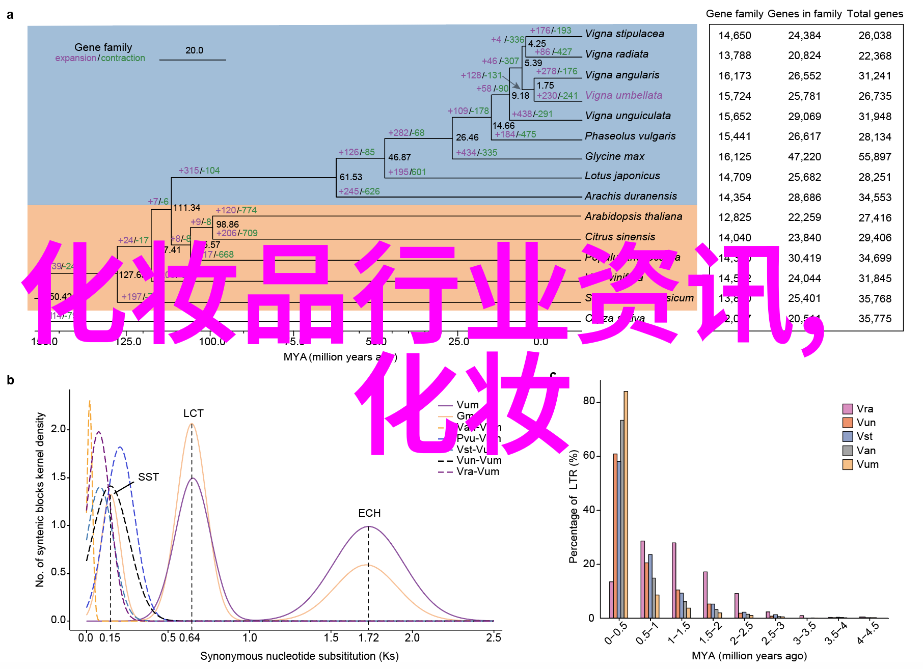 白银市平川区开展化妆品市场专项检查 守护消费者美丽安全